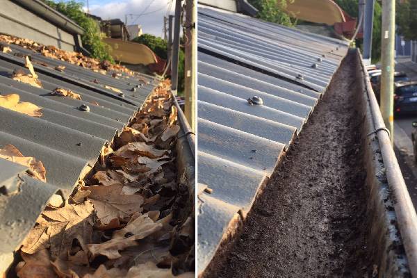 gutter cleaning in Hamilton